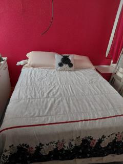 Excelente Apto na melhor localização cop30 - 8