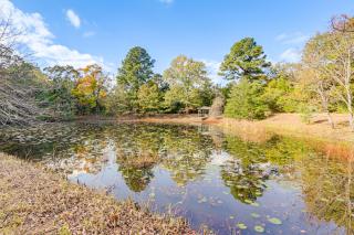 Pond Mountain Springs Hawk Cabin, 4 Mi to Dtwn - 8