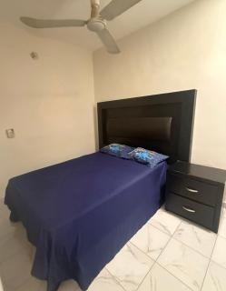 Casa en renta colonia Antonio rosales - 0