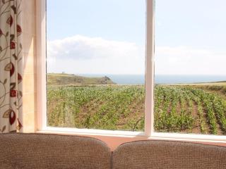 Parc An Castle Cottage - Lizard - 4