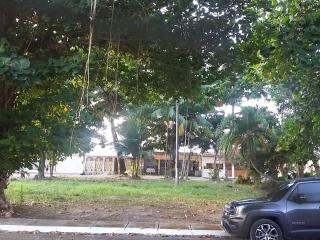 Brisa da Natureza - 7