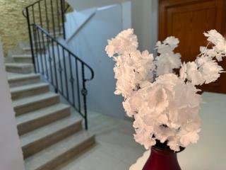 luxurious three-bedroom villa with private pool - 1