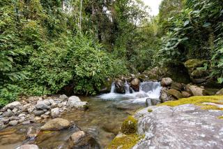 Glamping Villa del Bosque - 1