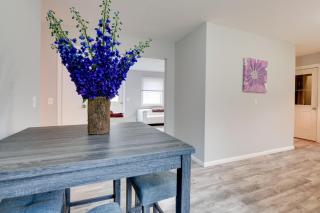 Ski, Hike and Explore Home 5 Mi to Dtwn Burlington! - 4