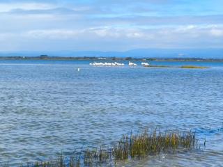 SixtyNine Beach Cottage - Torreira - 4