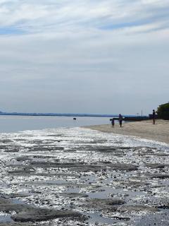 SixtyNine Beach Cottage - Torreira - 8