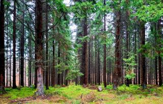 Amazing Home In Röstånga With Wifi - 1