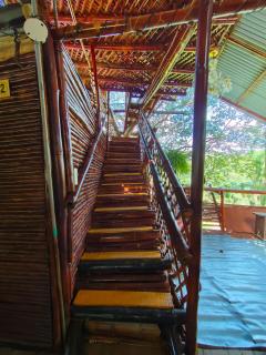 Hospedaje casa en el Árbol - 3