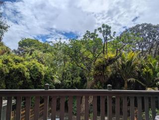 Great Barrier Island Escape - 1