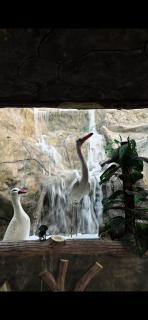 عزبة وادي السدر - 3