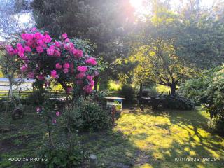 Casa de campo, surf, pesca y golf - 3