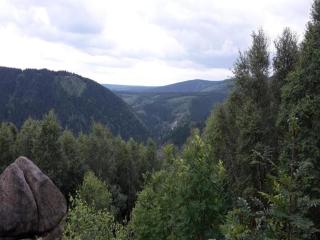 Ferienwohnung in Hahnenklee - 5