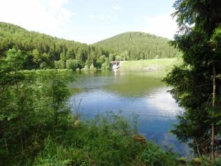Ferienwohnung in Hahnenklee - 2
