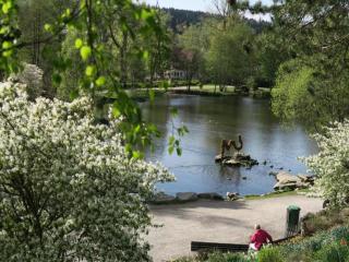 Apartment in der Nähe des Bocksberglifts - 2