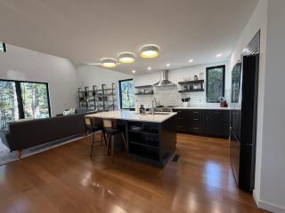 Contemporary Lakehouse in Lakeville - 5