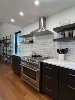 Contemporary Lakehouse in Lakeville - 3