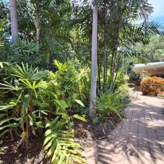 Studio Casablanca - 1