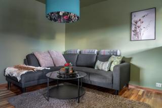 ARCTIC HOMES - The Spacious Villa - 2