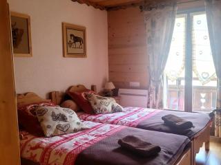 Chalet spacieux 10 pers, Wifi, Animaux ok, Parking - FR-1-676-242 - 3