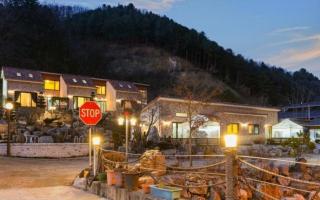 Chuncheon Nami Island Big Bear Pension - 1