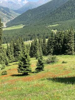 Adventure Guest House - 6