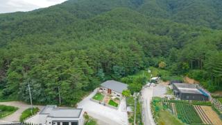 Gangneung Watdaeng Dog Pension - 2