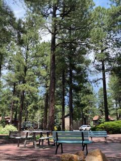 Snuggle up in our Cushy condo in Pinetop - 7