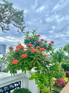 ASEM HOMESTAY Căn hộ tinh tế, thư giản - 6