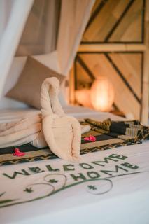 Arcana Hideout The Aesthetic Escape - 2