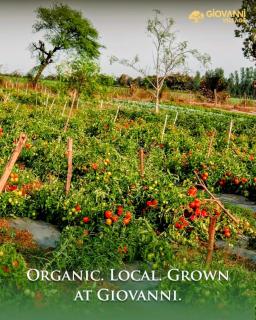 Giovanni Village Resort - 1