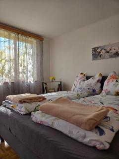 Natur- & Erlebnis Ferienhaus - 3