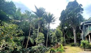 Great Barrier Island Escape - 6