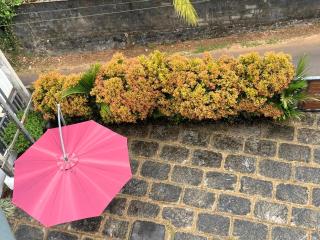 Enhance Lifestyle Service Apartments - 6