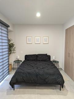 Villadhara Centro GDL - 9