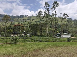 Watawala Tea Garden - Rozella - 1