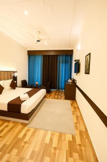 The Kasauli woods - 7