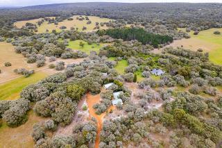 Pimelea - Wyadup Brook Cottages - 1