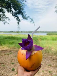 Lake Front Hotel And Restaurant - 8