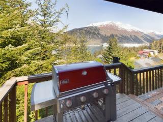 Breathtaking Ocean, Mountain & Juneau Views - 7