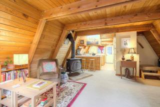 Douglas Island A-frame Cabin in the woods - 4