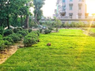 S·dor Hotel Hangzhou Xiaoshan Intertational Airport - 4