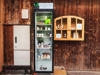 Holiday in Mittersill near the Kitzbühel Alps - 9