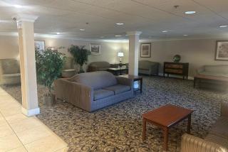 Wingate by Wyndham Livonia - 9