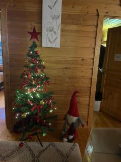 Villa Karhuntähti - 2