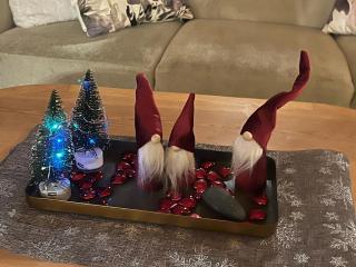 Villa Karhuntähti - 1