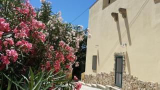 Agriturismo Tenuta La Siesta - Gallipoli - 0