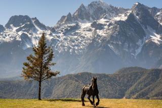 丽江玉龙漫椿雪山民宿 - 9