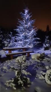 WRÓBLOWA CHALET przy Dolinie Chochołowskiej - 8