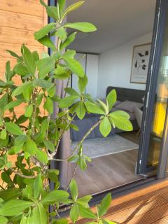 Carsium View House - 4