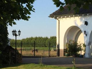 Apartment Maasheuvel - 7